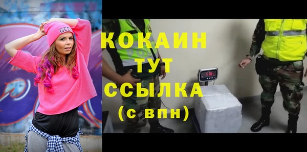 крисы Карпинск