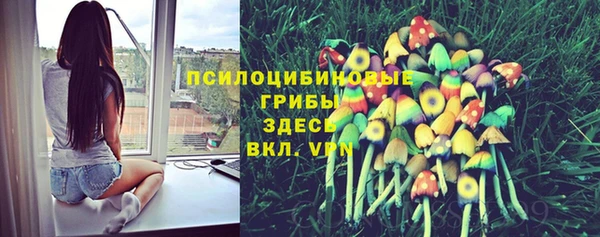 шишки Карталы