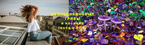 2c-b Касимов