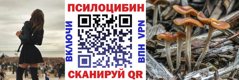 Галлюциногенные грибы Cubensis  купить   Наро-Фоминск 