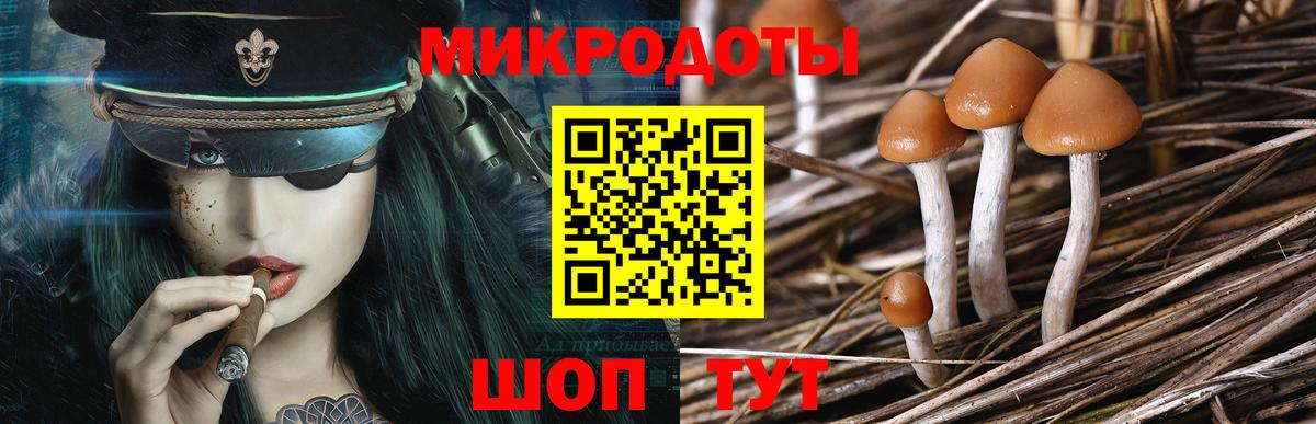 Наро-Фоминск  Галлюциногенные грибы прущие грибы  Вход с VPN 